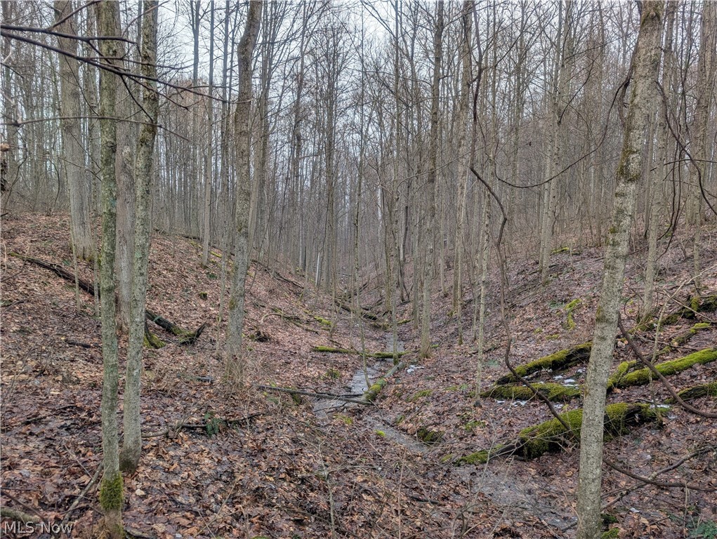 0 Tract 9 Township Road 272 Lewisville OH 43754
