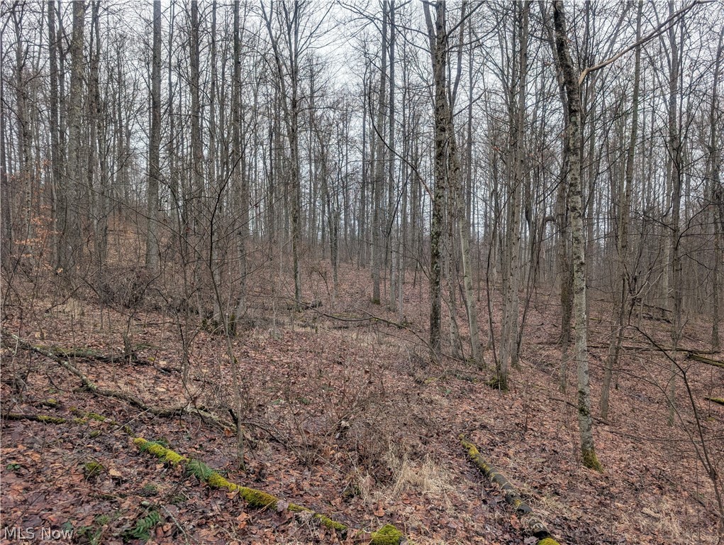0 Tract 9 Township Road 272 Lewisville OH 43754