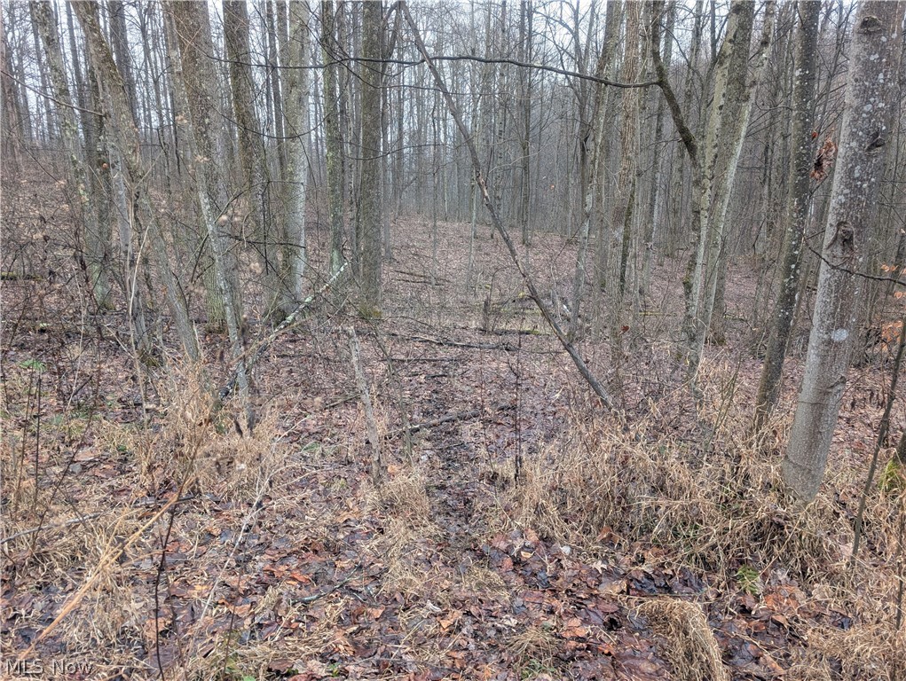 0 Tract 9 Township Road 272 Lewisville OH 43754