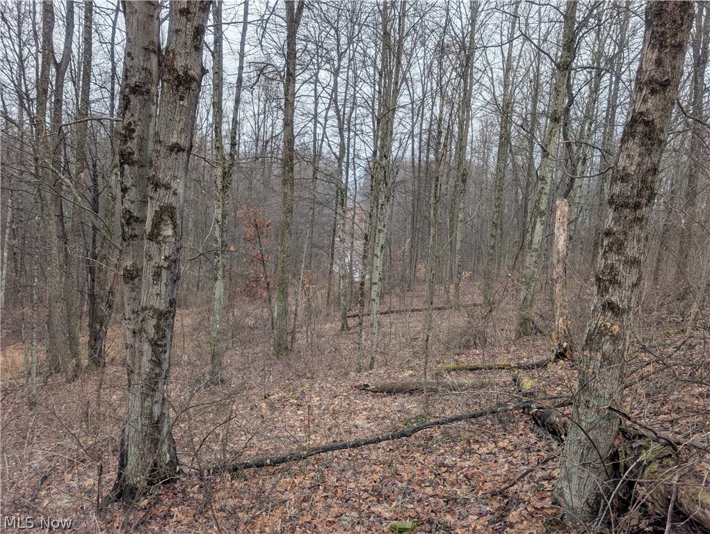 0 Tract 9 Township Road 272 Lewisville OH 43754
