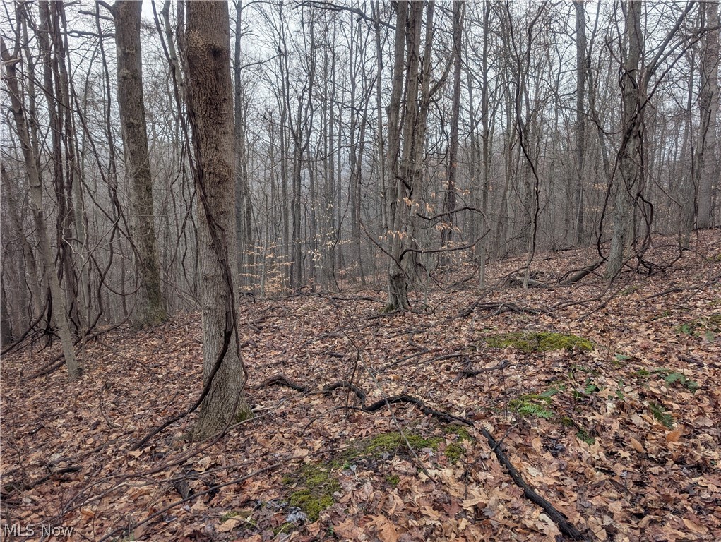 0 Tract 9 Township Road 272 Lewisville OH 43754