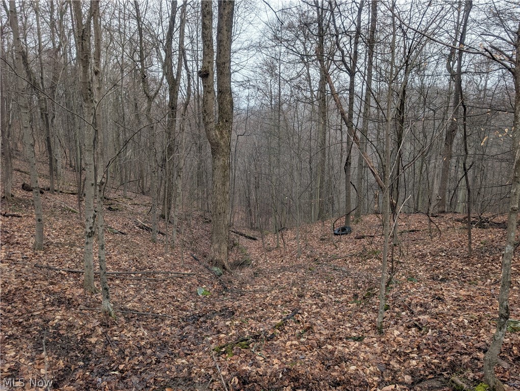 0 Tract 9 Township Road 272 Lewisville OH 43754