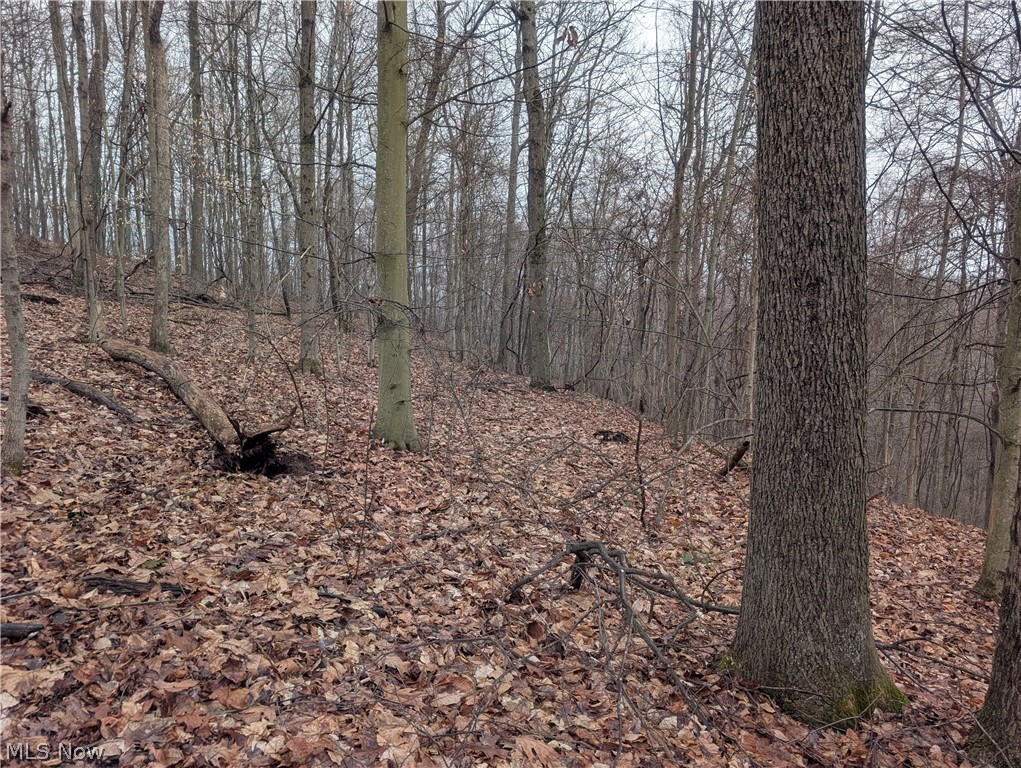 0 Tract 9 Township Road 272 Lewisville OH 43754