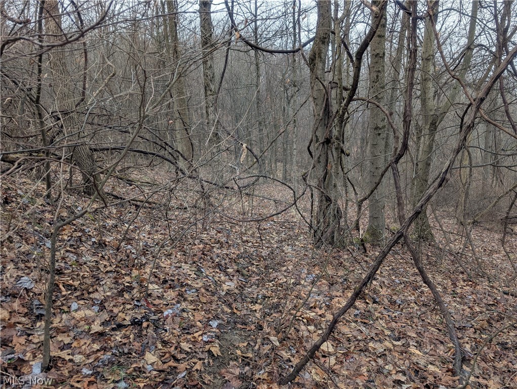0 Tract 9 Township Road 272 Lewisville OH 43754