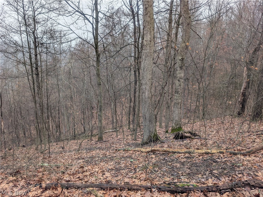 0 Tract 9 Township Road 272 Lewisville OH 43754