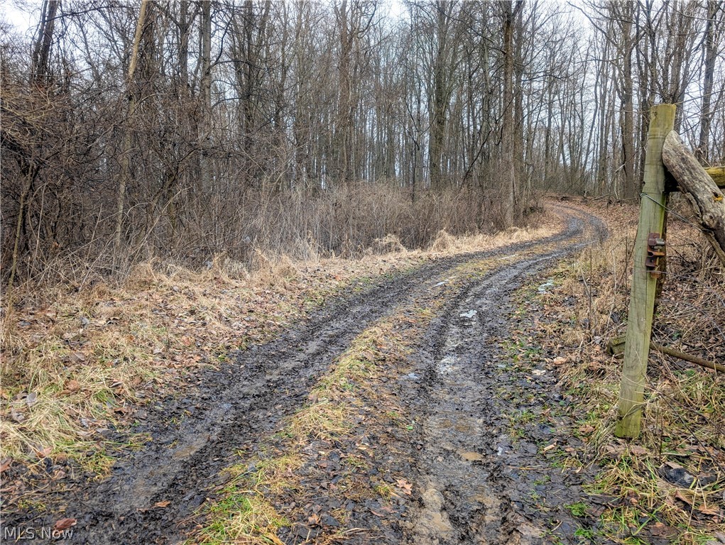 0 Tract 9 Township Road 272 Lewisville OH 43754