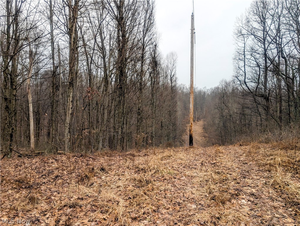 0 Tract 9 Township Road 272 Lewisville OH 43754