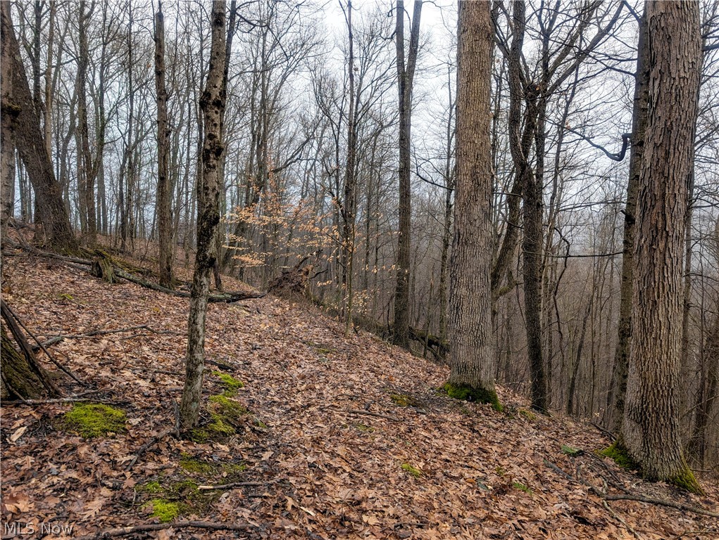 0 Tract 9 Township Road 272 Lewisville OH 43754