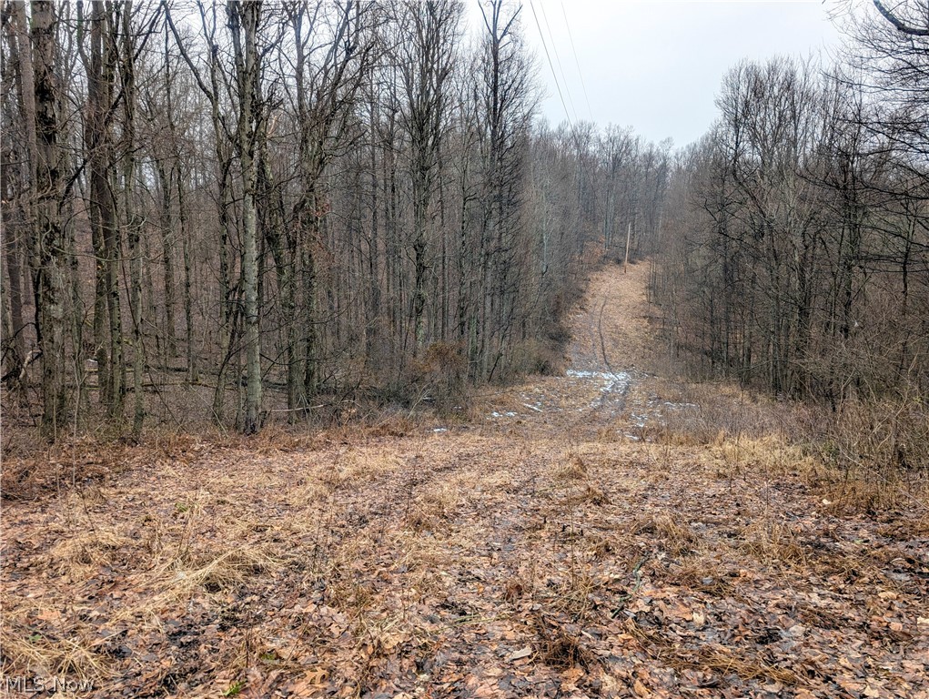0 Tract 9 Township Road 272 Lewisville OH 43754