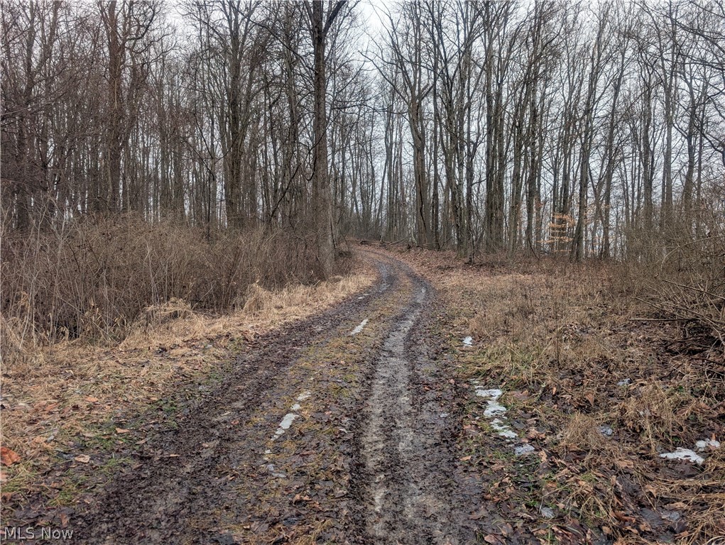 0 Tract 9 Township Road 272 Lewisville OH 43754