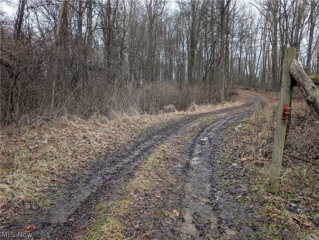 0 Tract 9 Township Road 272 Lewisville OH 43754