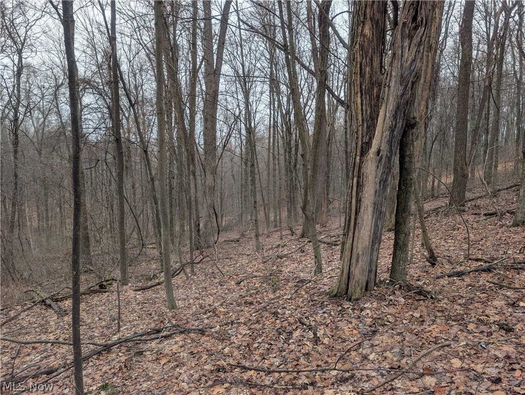 0 Tract 9 Township Road 272 Lewisville OH 43754
