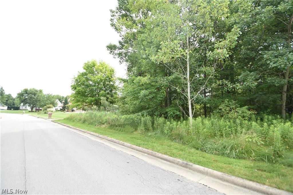 Saddlebrook Lot 153 Drive Boardman OH 44512