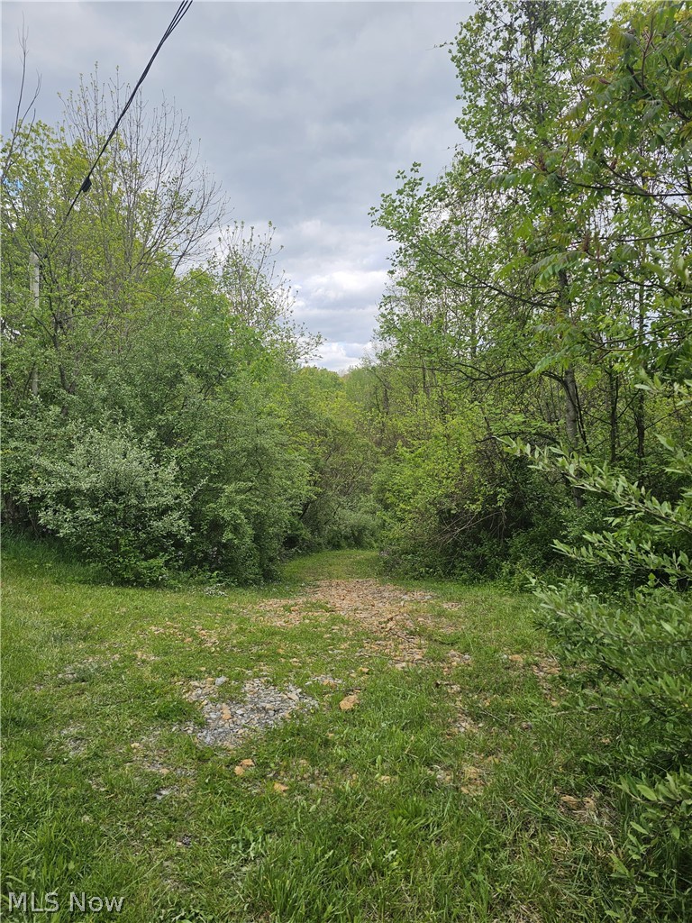 8280 Township Road 263 Bergholz OH 43908