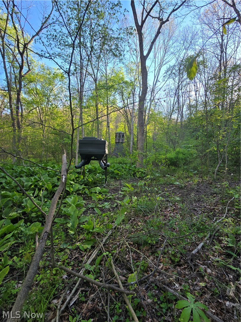 8280 Township Road 263 Bergholz OH 43908