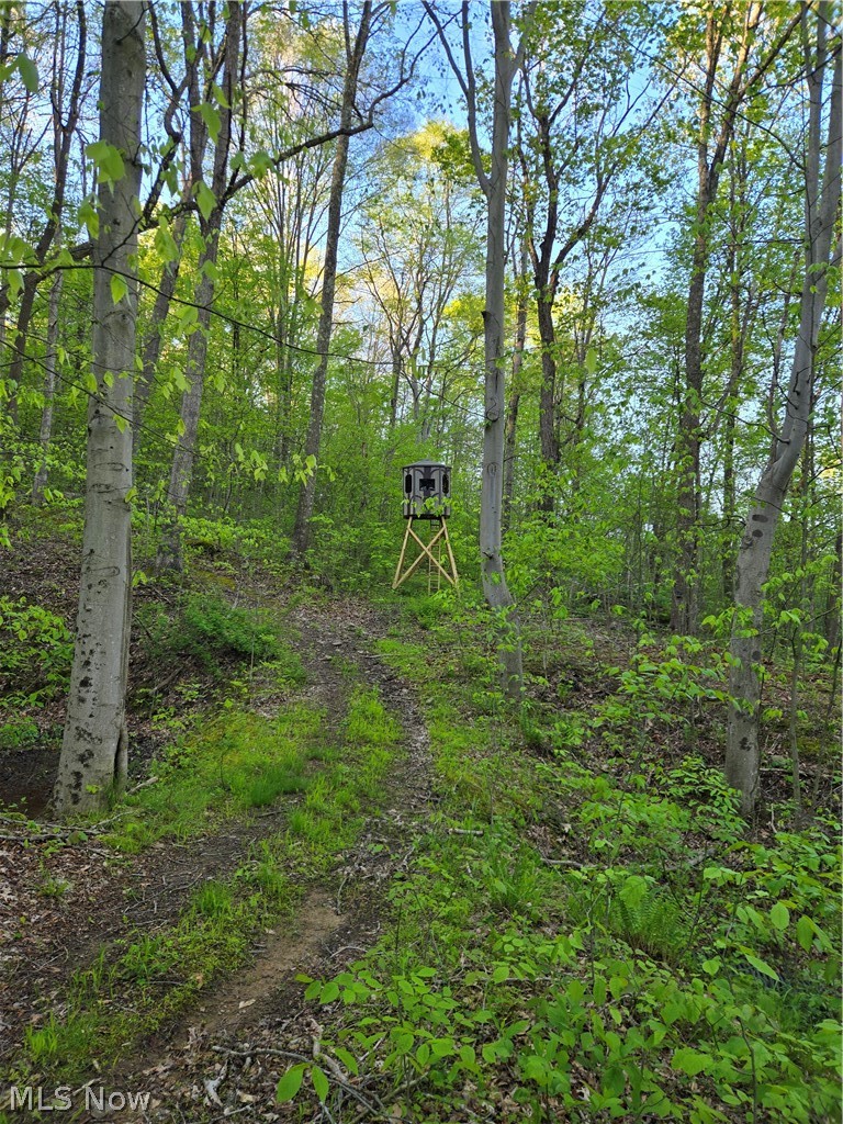 8280 Township Road 263 Bergholz OH 43908