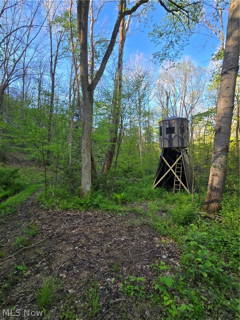 8280 Township Road 263 Bergholz OH 43908