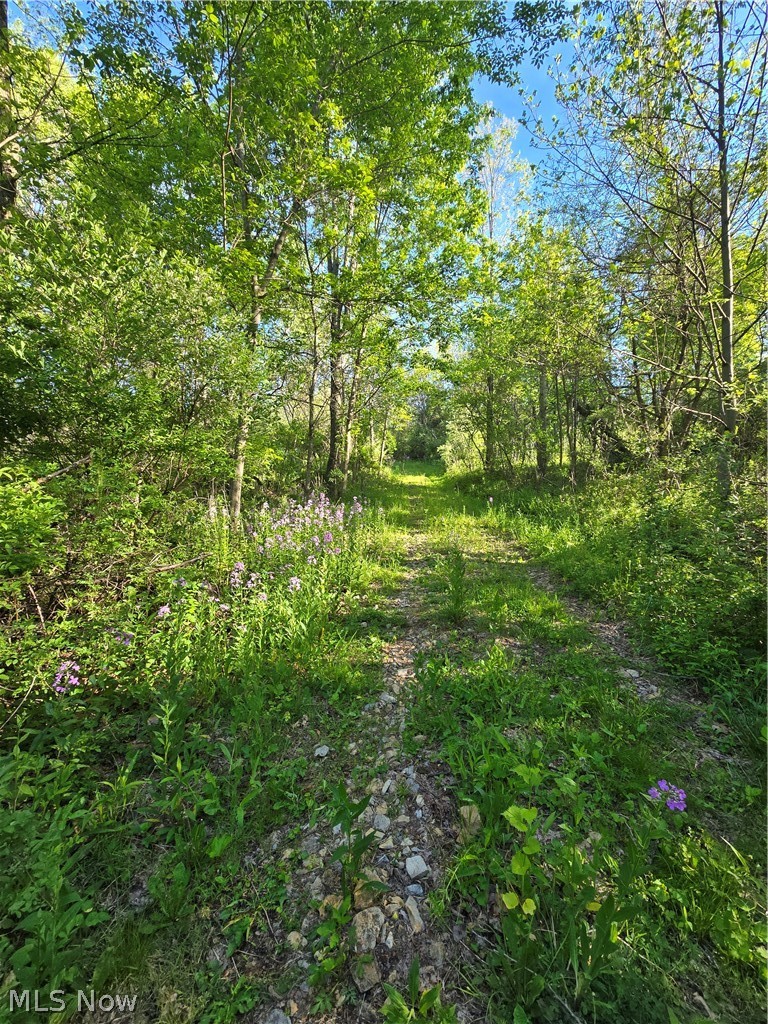 8280 Township Road 263 Bergholz OH 43908
