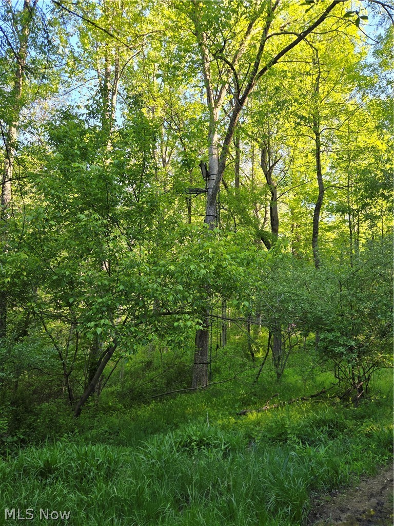 8280 Township Road 263 Bergholz OH 43908