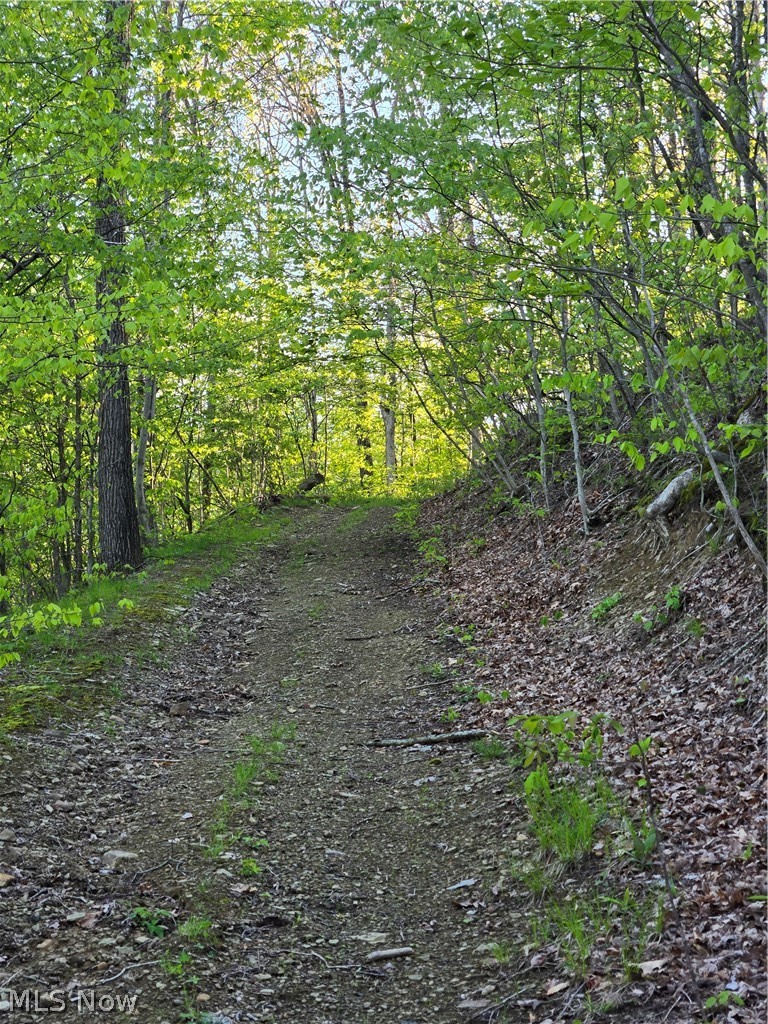 8280 Township Road 263 Bergholz OH 43908