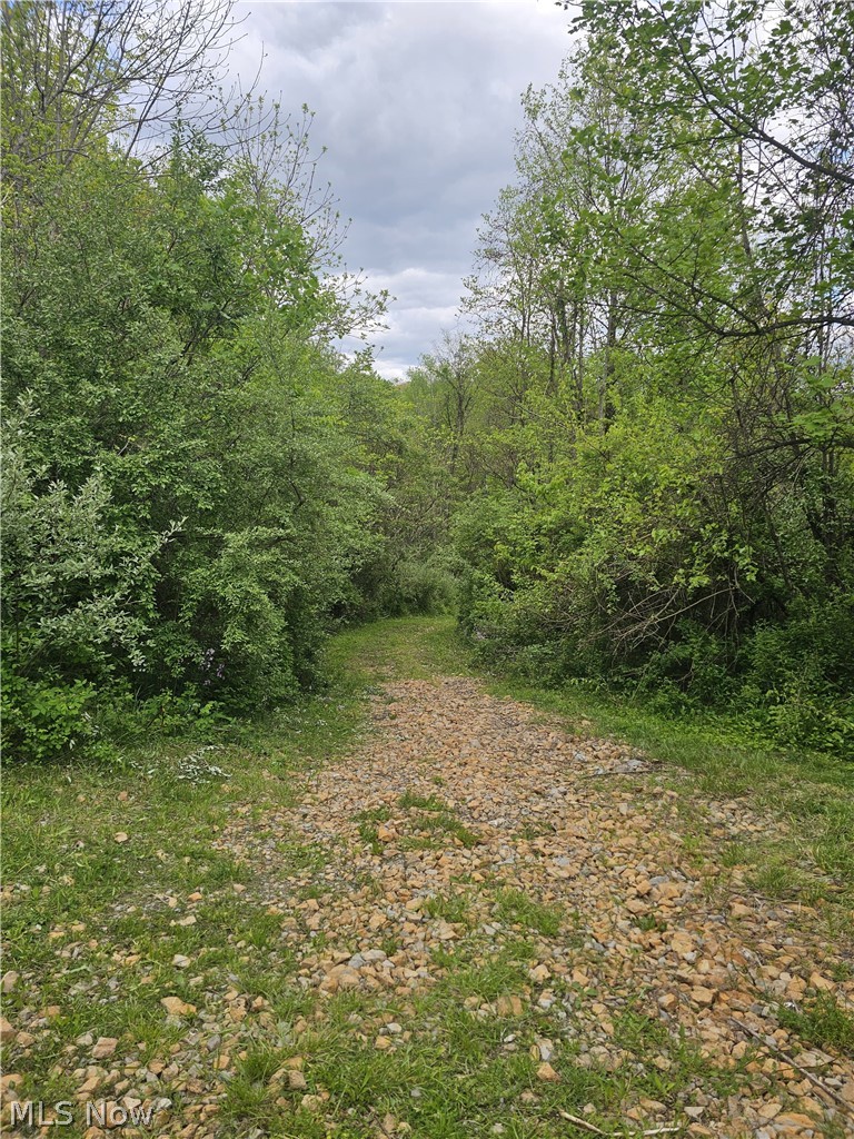 8280 Township Road 263 Bergholz OH 43908