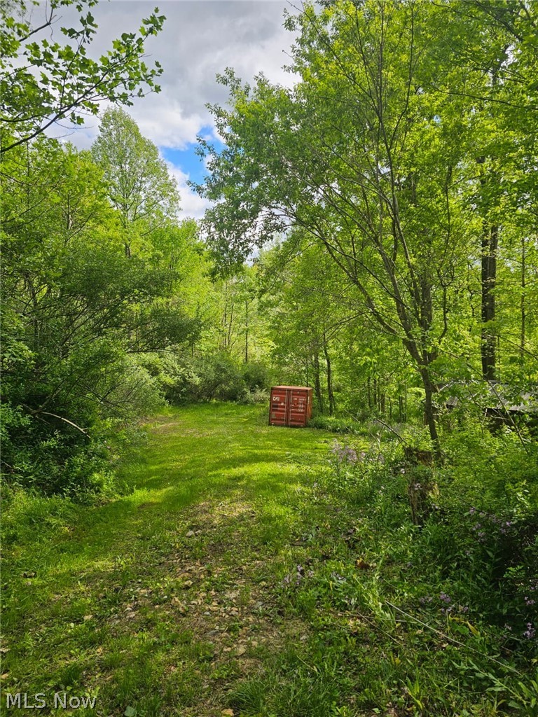 8280 Township Road 263 Bergholz OH 43908