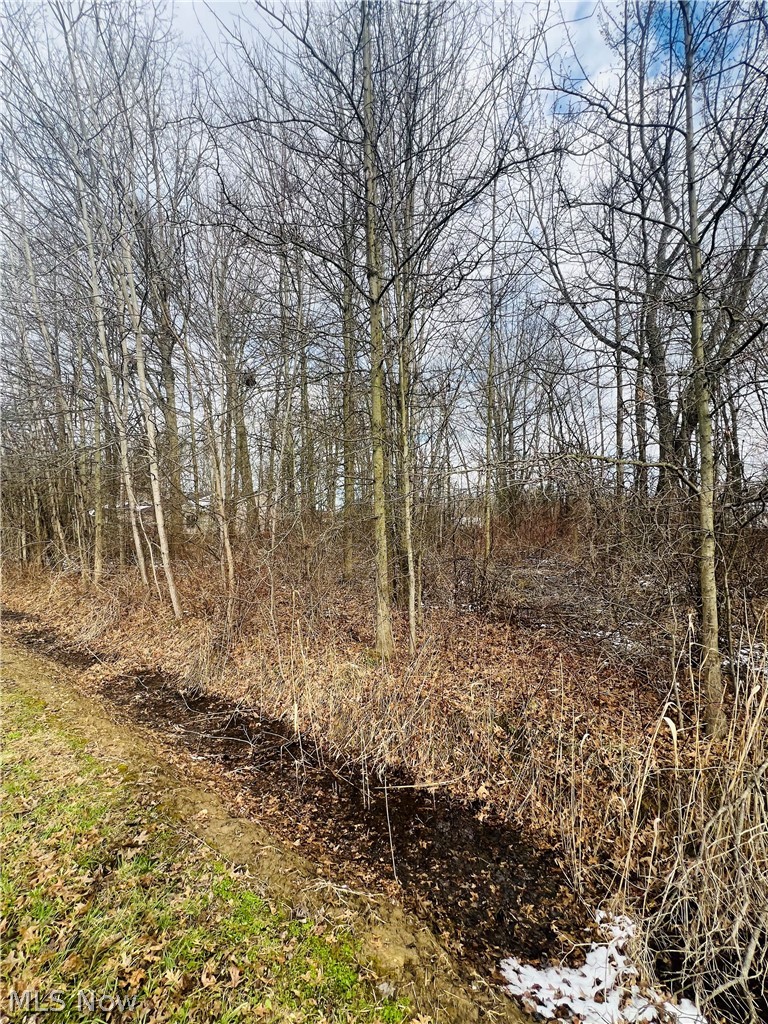 Lot 115 Breezewood Lane Orwell OH 44076