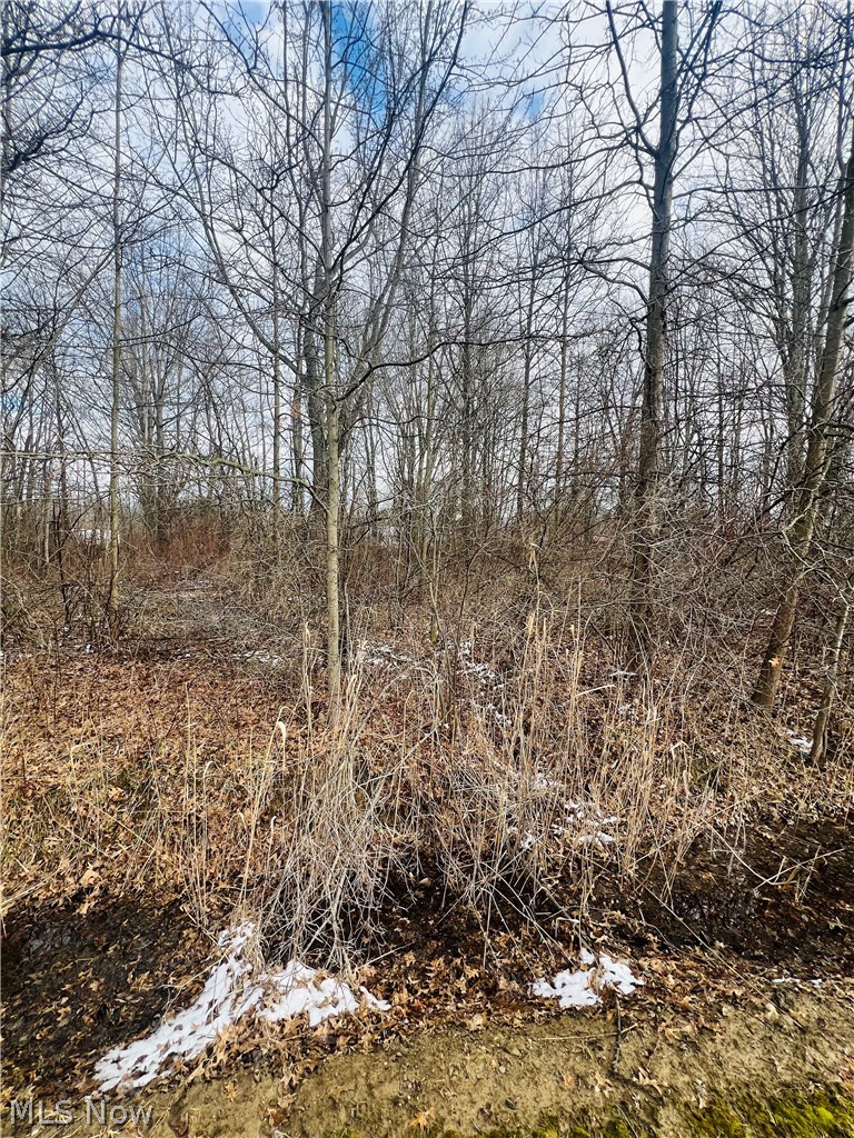 Lot 115 Breezewood Lane Orwell OH 44076