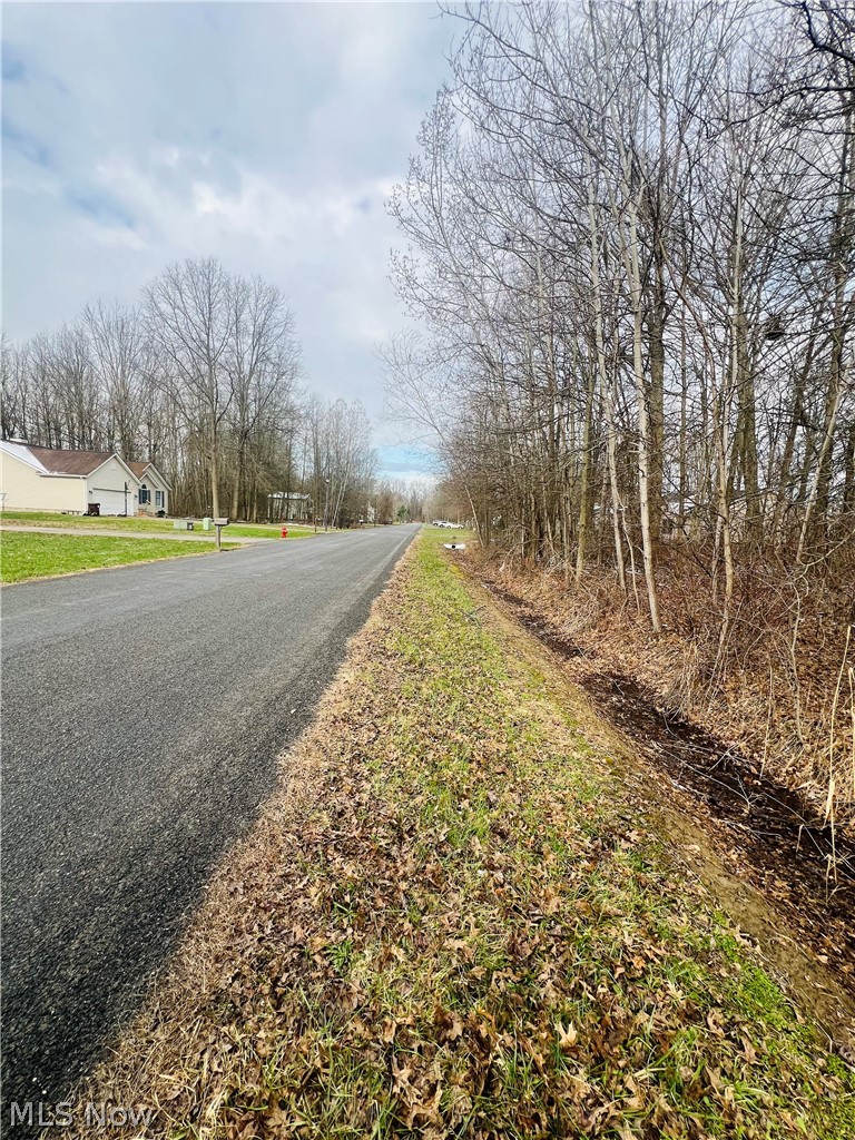 Lot 115 Breezewood Lane Orwell OH 44076