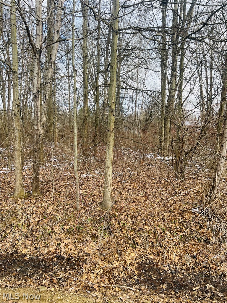 Lot 115 Breezewood Lane Orwell OH 44076