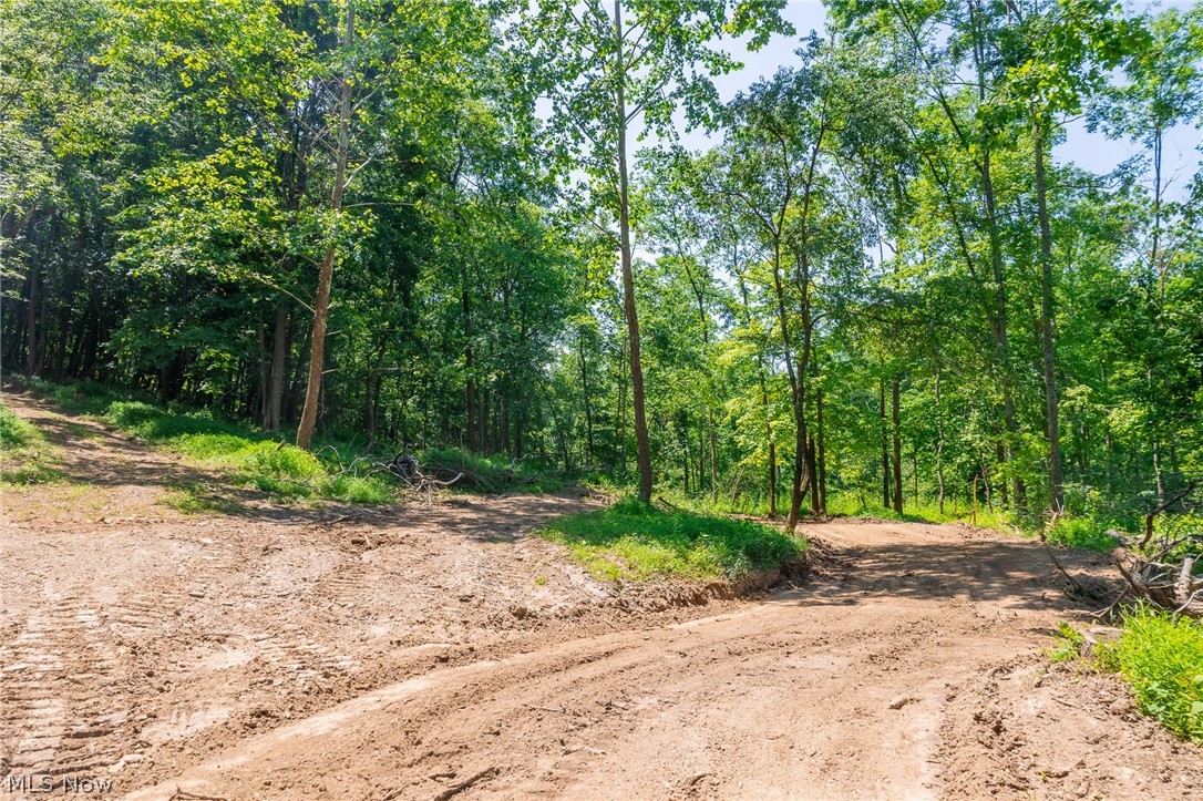 31800 Chestnut Ridge Road Danville OH 43050