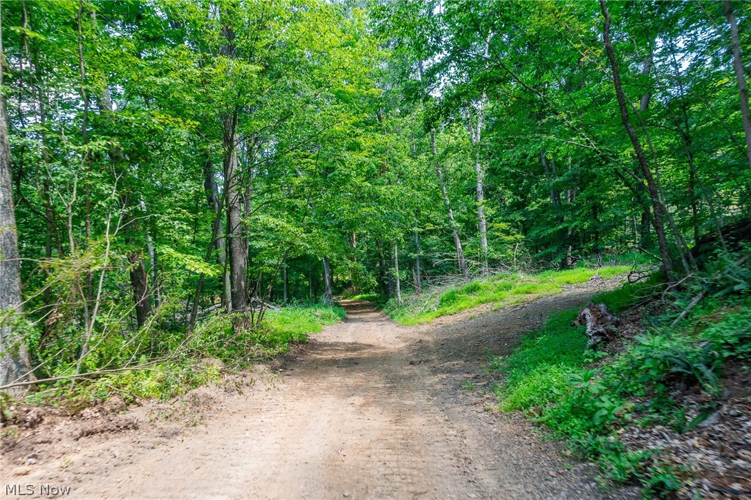 31800 Chestnut Ridge Road Danville OH 43050
