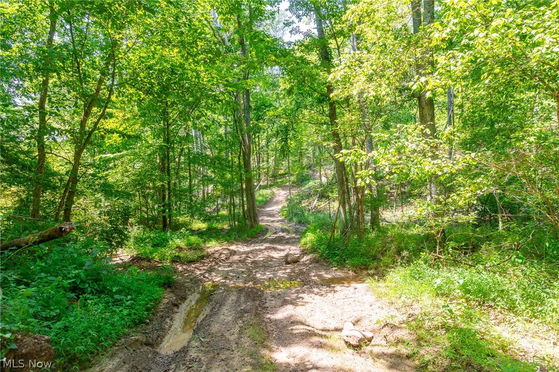 31800 Chestnut Ridge Road Danville OH 43050