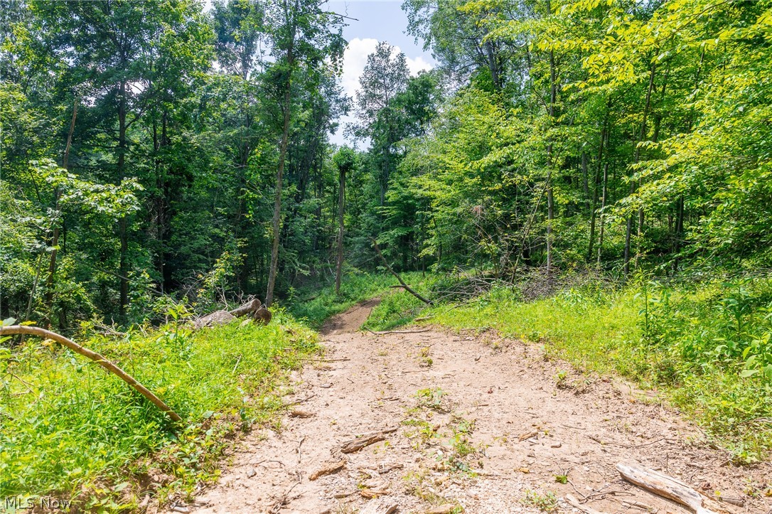 31800 Chestnut Ridge Road Danville OH 43050