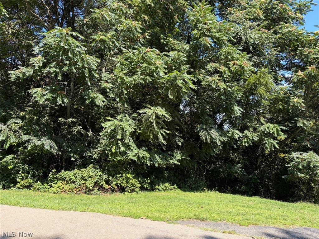 0 Pleasant View Drive Nashport OH 43830