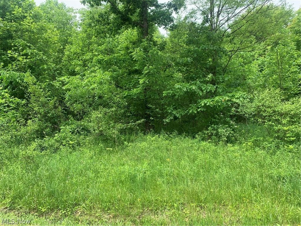 Pinney Topper Road Ashtabula OH 44004