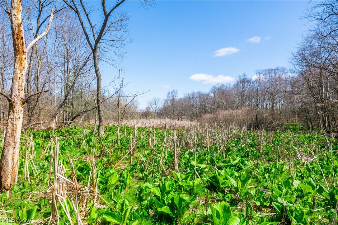 9050 Freeman Road Lisbon OH 44432