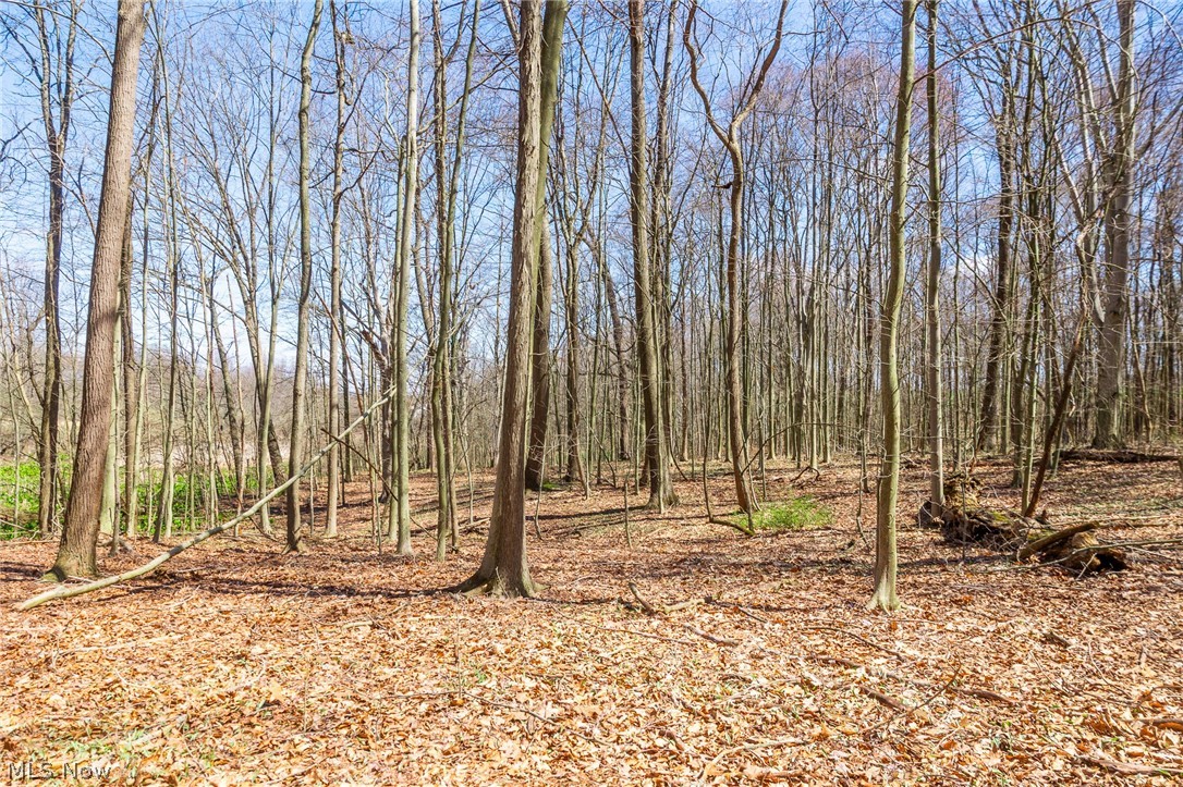 9050 Freeman Road Lisbon OH 44432
