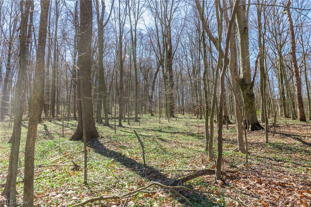 9050 Freeman Road Lisbon OH 44432