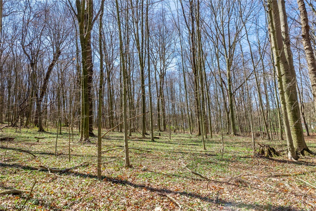 9050 Freeman Road Lisbon OH 44432