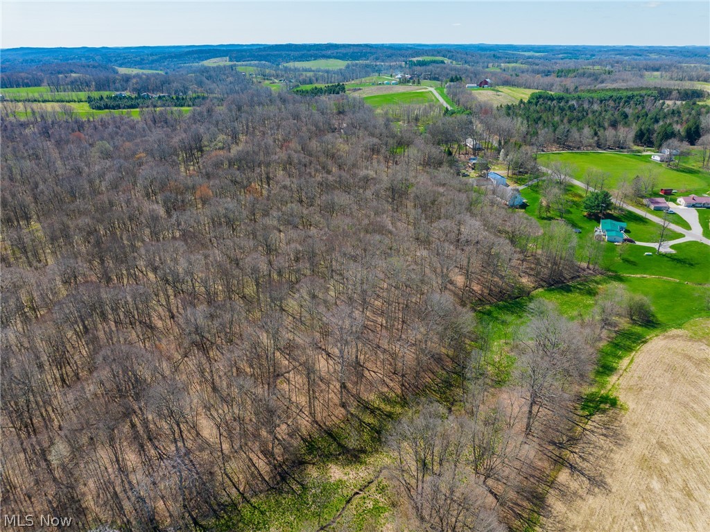 9050 Freeman Road Lisbon OH 44432