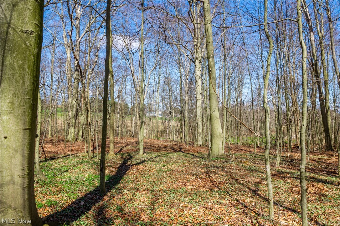9050 Freeman Road Lisbon OH 44432