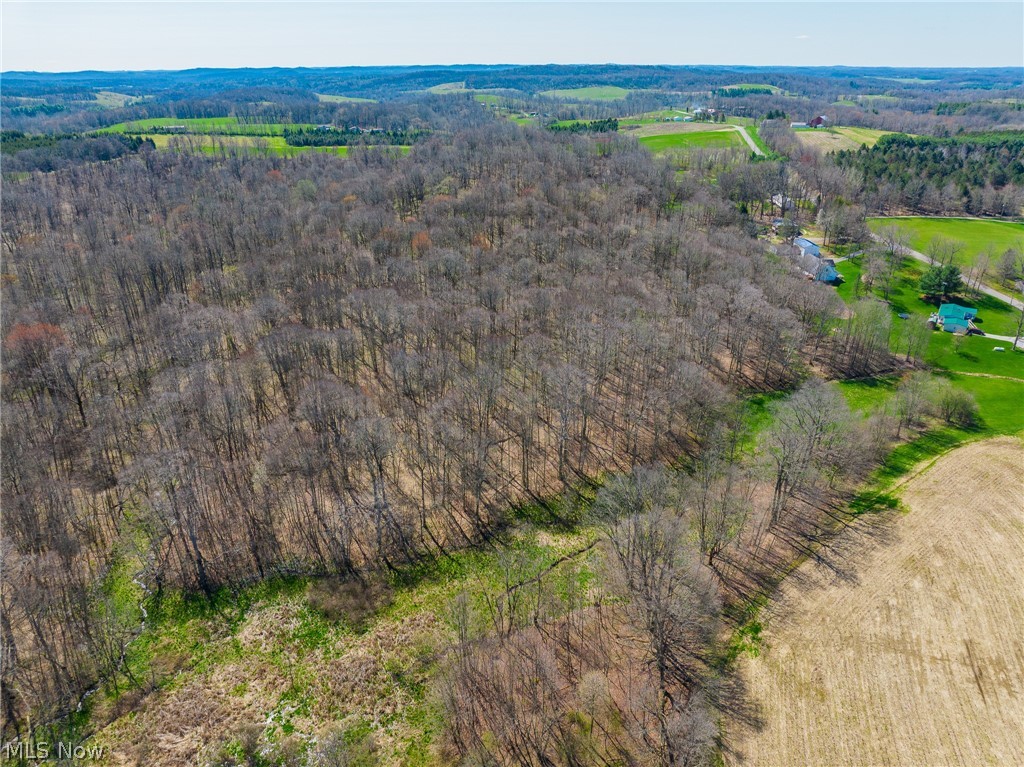 9050 Freeman Road Lisbon OH 44432