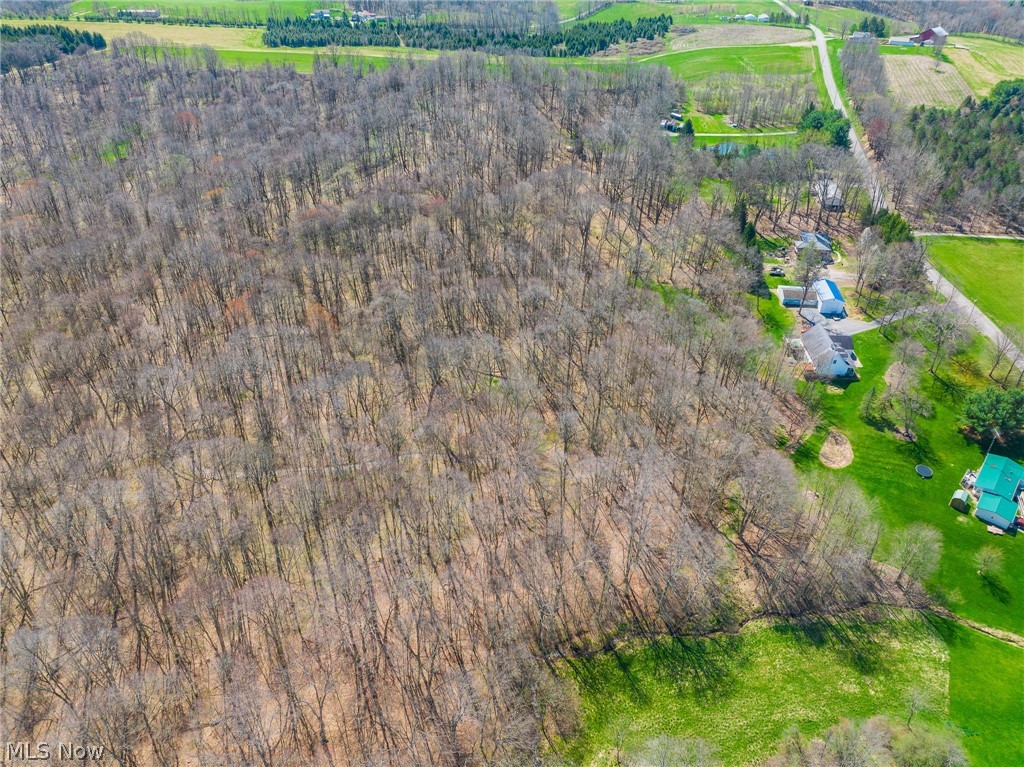 9050 Freeman Road Lisbon OH 44432