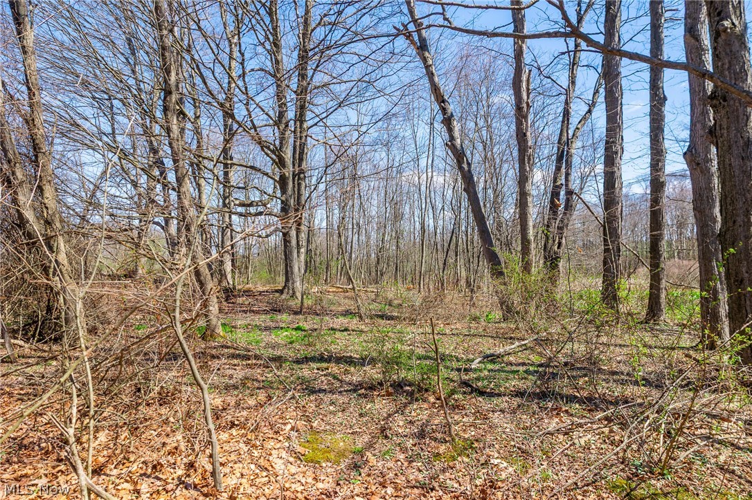 9050 Freeman Road Lisbon OH 44432