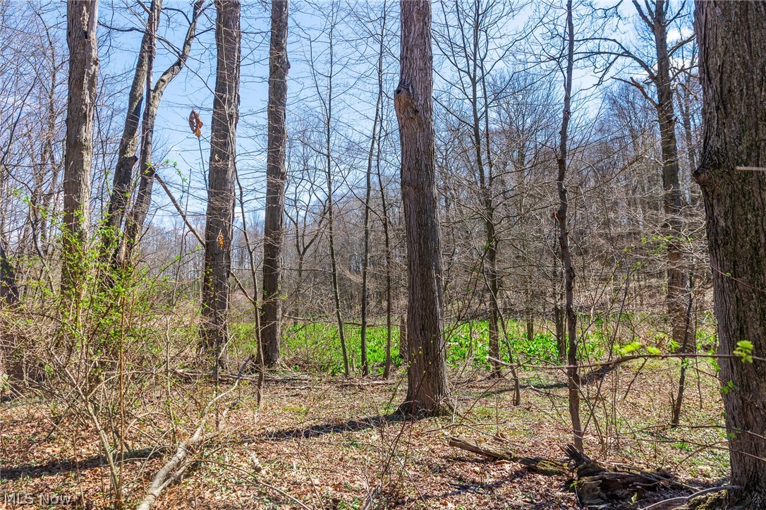 9050 Freeman Road Lisbon OH 44432
