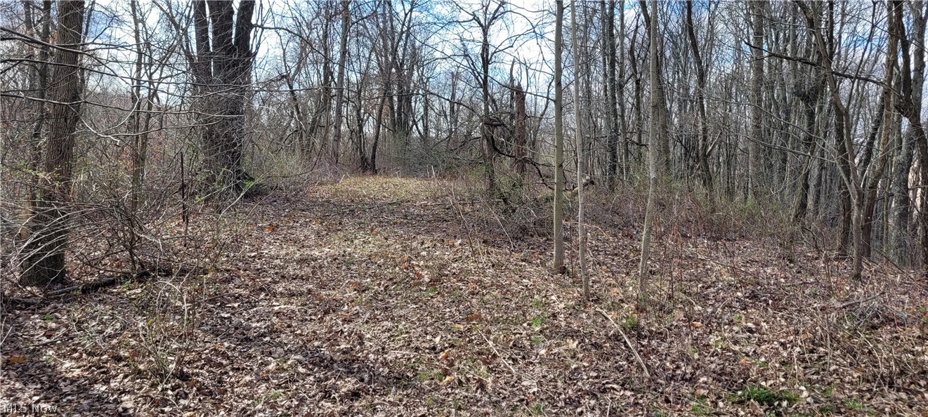58547 Township Road 109 Kimbolton OH 43749