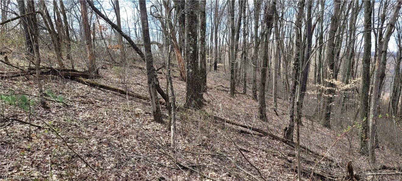 58547 Township Road 109 Kimbolton OH 43749
