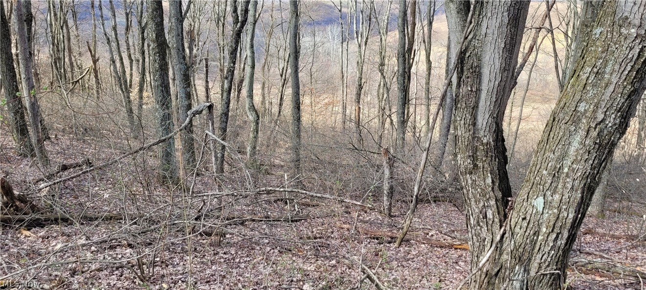 58547 Township Road 109 Kimbolton OH 43749