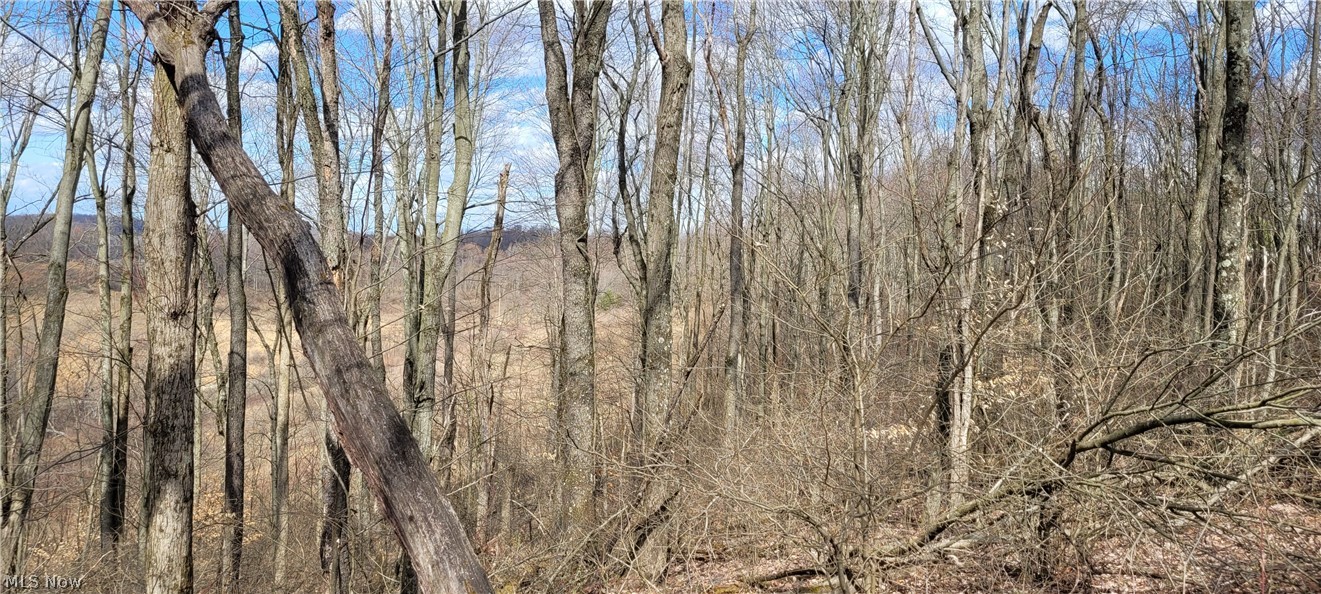 58547 Township Road 109 Kimbolton OH 43749